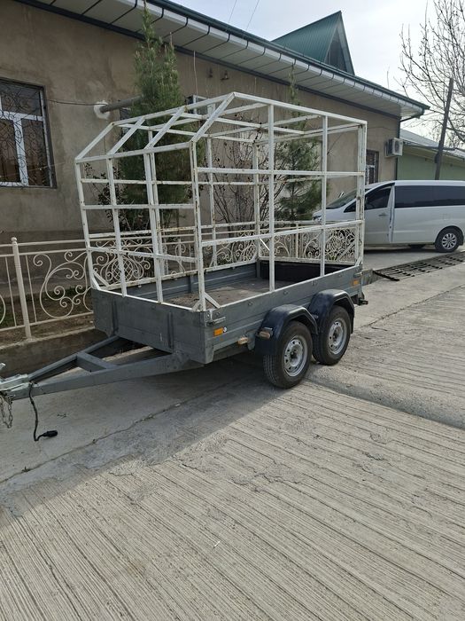 2019 йил саранске