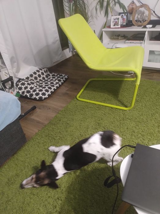 Кресло  IKEA.  LOCKSTA lounge