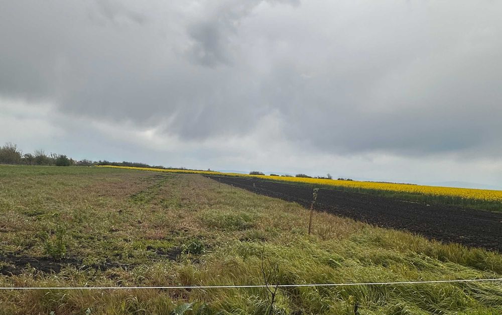 Teren Eco pentru “VIAȚA LA ȚARĂ” în Sălciile, Prahova