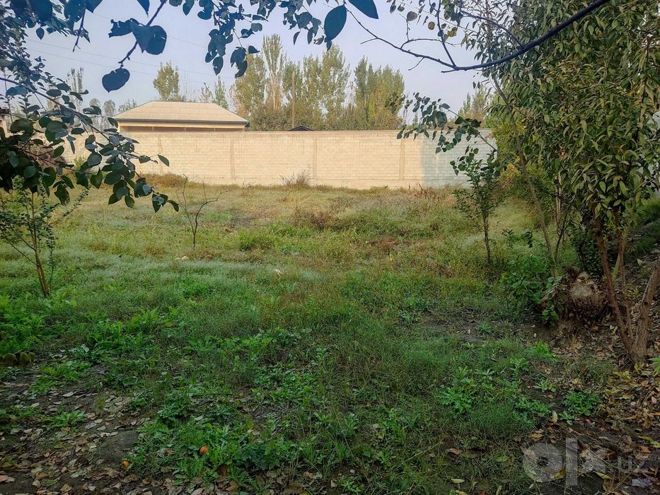 5 Sotikli Hovli Uy Sotiladi Zudlik Bilan