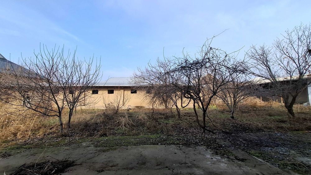 Таёр ховли участок 12 сотик нархи келишилинади