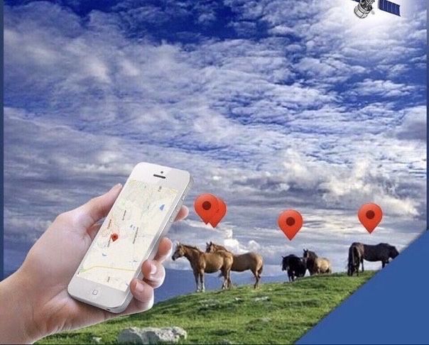 Жылқыға ЖПС /GPS для Лошадей