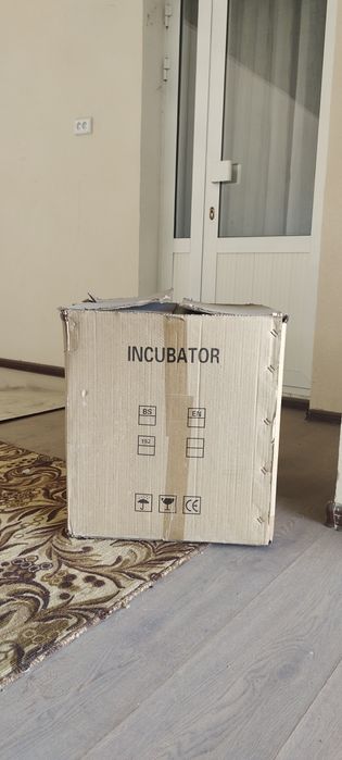 Incubator apparati