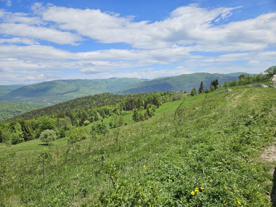 Teren Intravilan 10.000 mp cu vedere panoramică în Secăria, Prahova (Se poate vinde și parcelat)