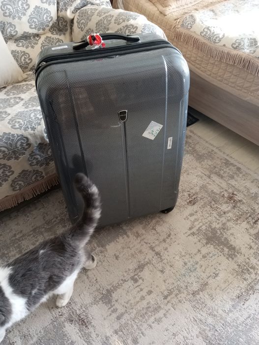 Чемодан дорожный