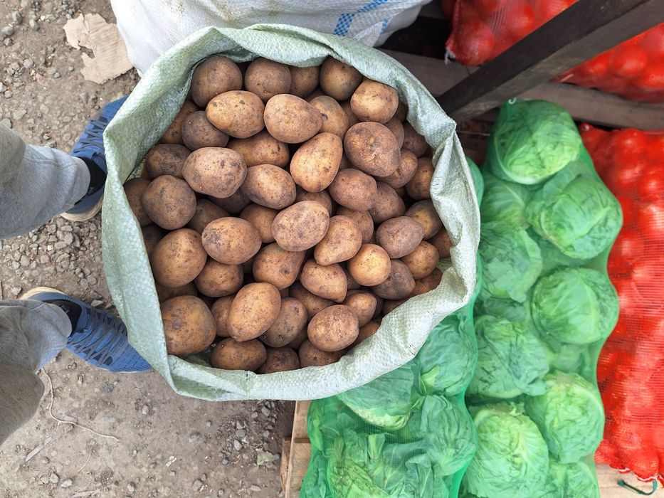 Карто Семена ГАЛА