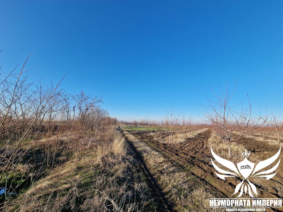 Продавам черешова градина 5800кв.м. в гр.Асеновград