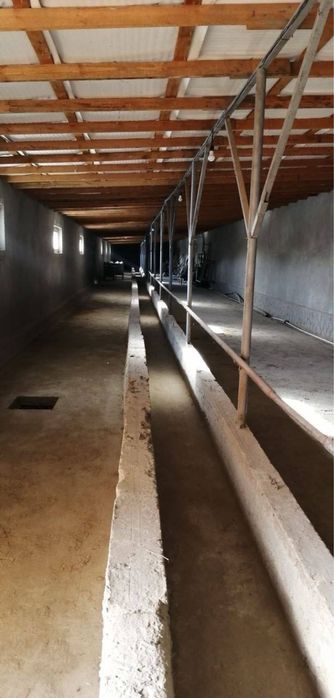 Продается загородный дом со всеми удобствами площадью 1га