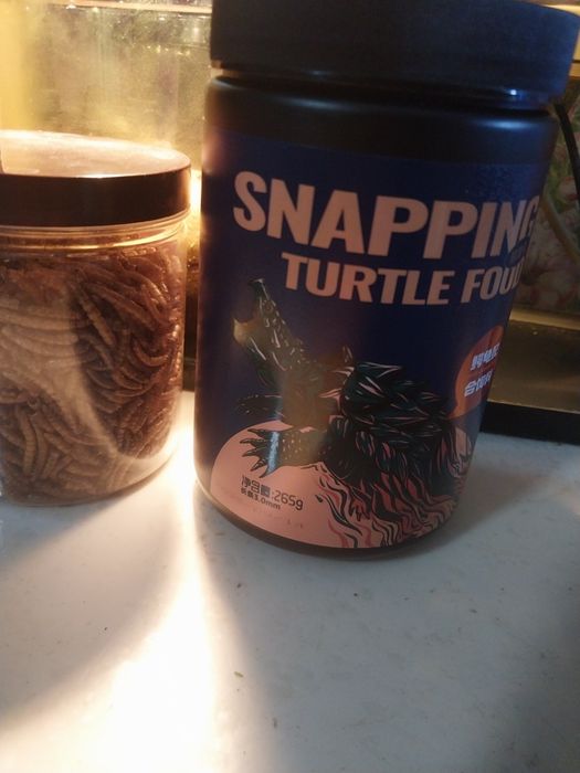 Грифовая черепаха