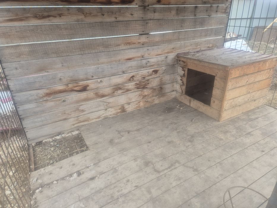 Вальер+ будка для собак