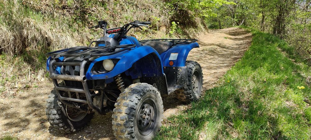 Yamaha grizzly 660cc