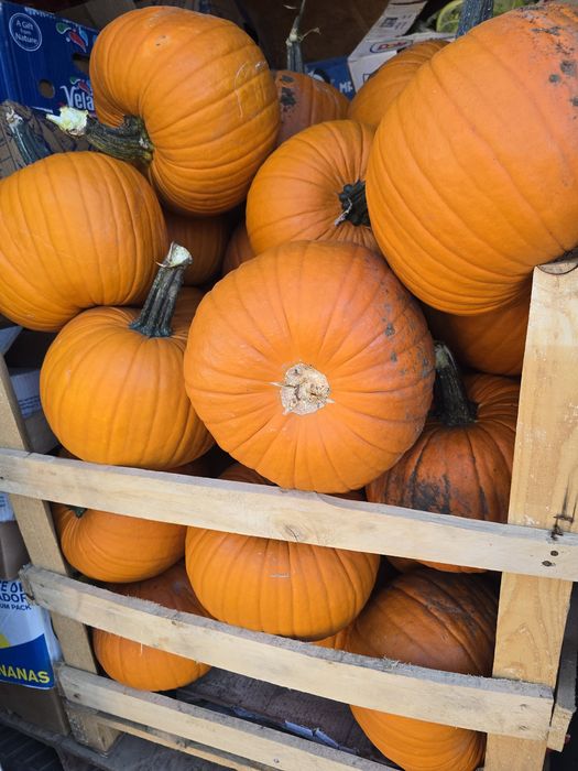 Dovleac Halloween
