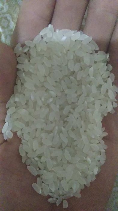 Хоразим гуруч аланга