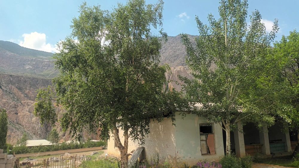 Шохмардонда ховли уй