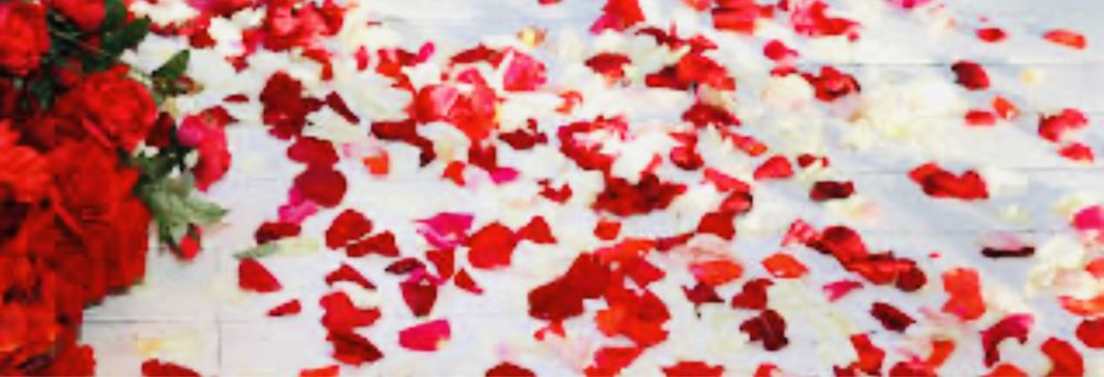 Живые лепестки роз