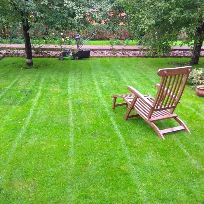 Посевной рулонный газон