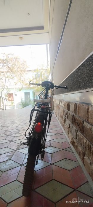 Velosaped Drongo