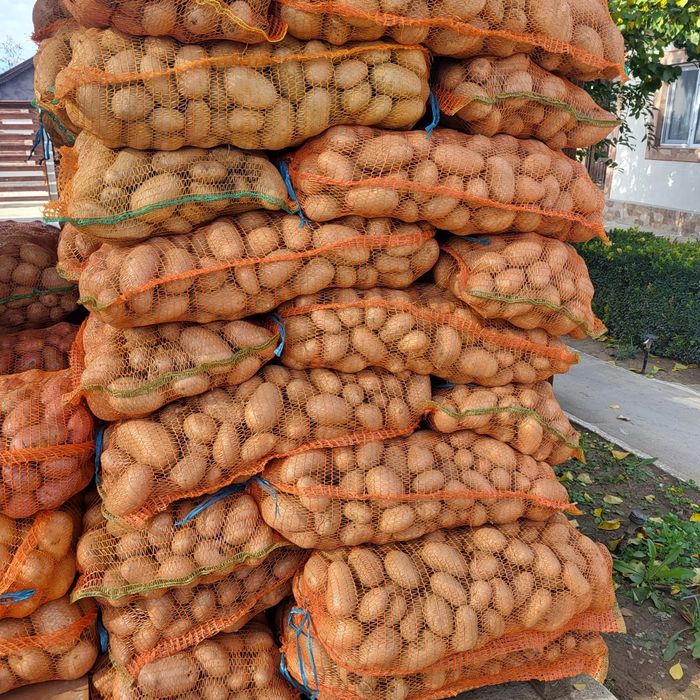 Vând cartofi de consum