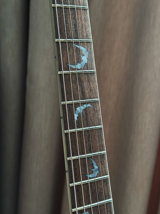 Электрогитара Schecter Damien Platinum 6