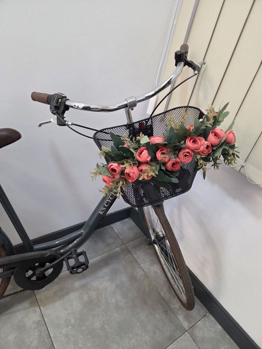 Bicicleta de oras dama