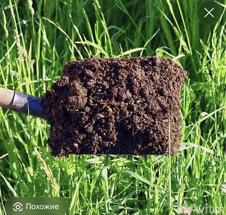 Навоз чернозем,щебень пгс