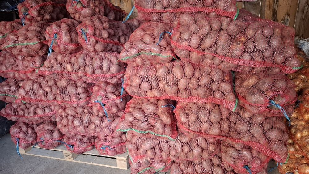 Cartofi de consum roșu și alb