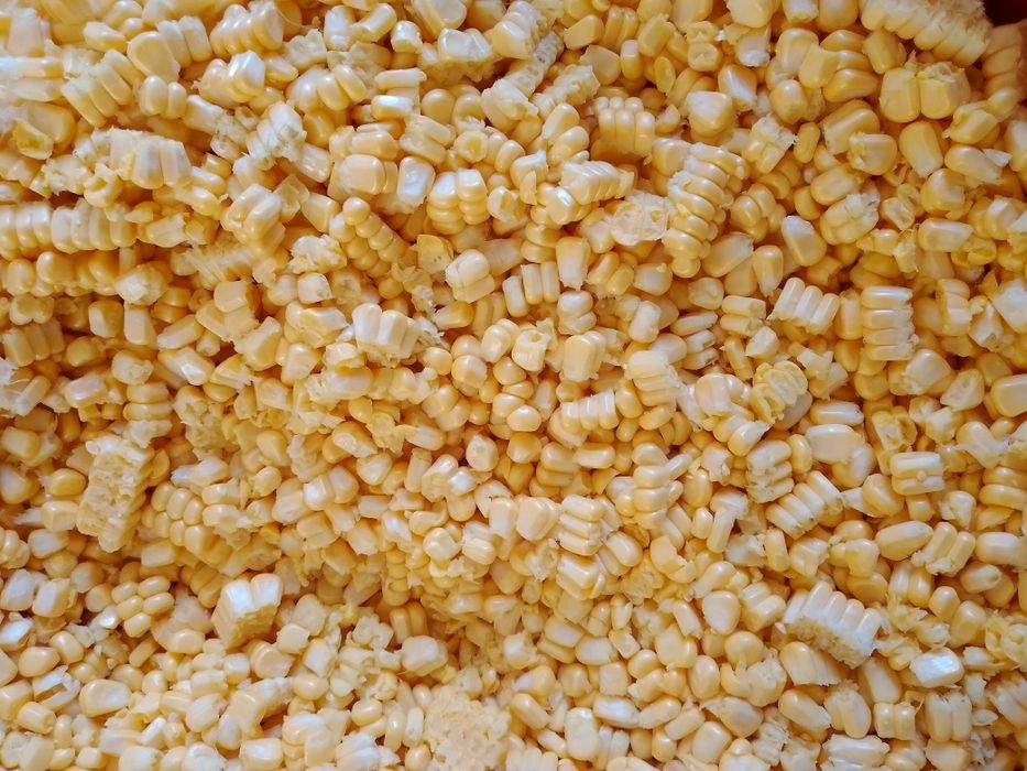 Shirin Makka joʻxori