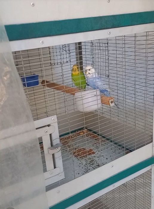 Sotiladi Pod chex para