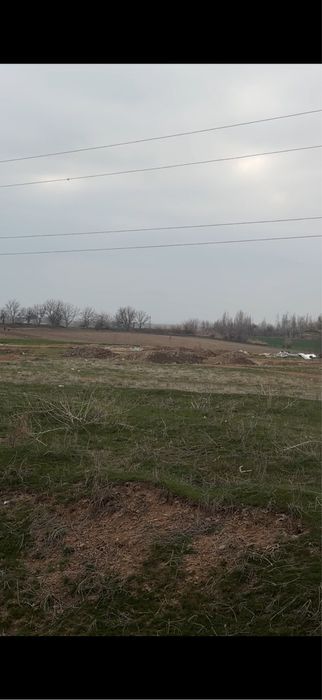 Nazarbekda yer sotiladi, 180 sotix