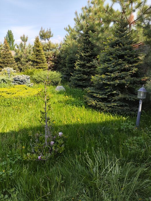 Продам дом в Алматы в предгорье