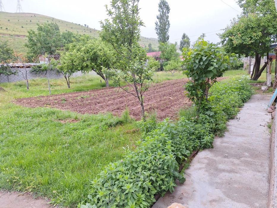 Бизнес ва дача учун ер турар жой участкаси