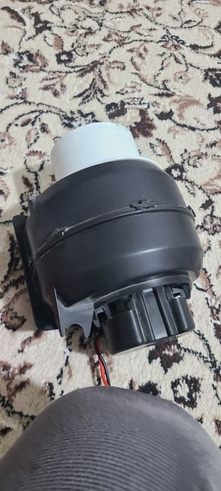 Remont damlik ayiqlar