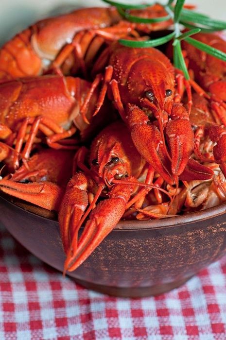 Раки на любой вкус