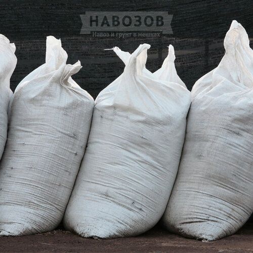 Чиринман Куй гунги сотилади