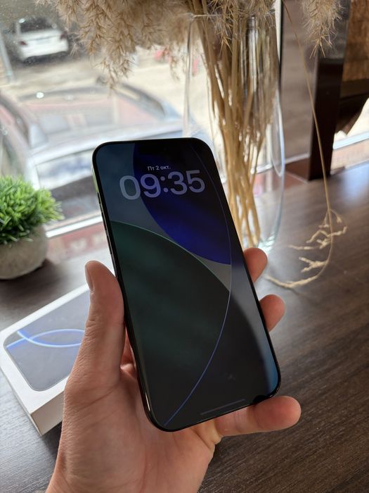 iPhone 16Pro Max 256