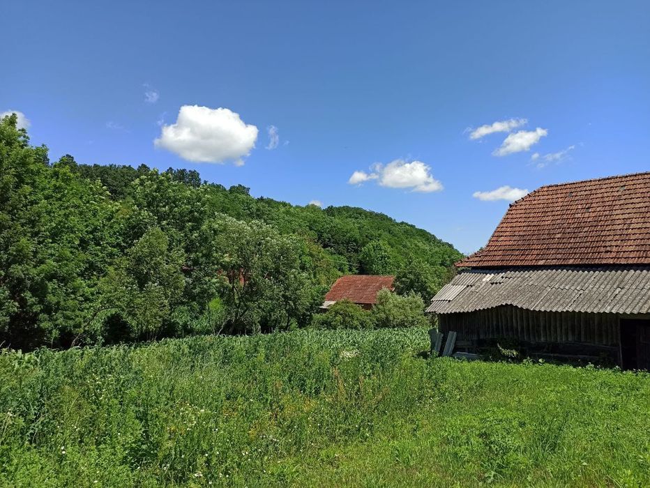 De vanzare  imobil : casa , bucatarie de vara , sura, gradina 30 ari