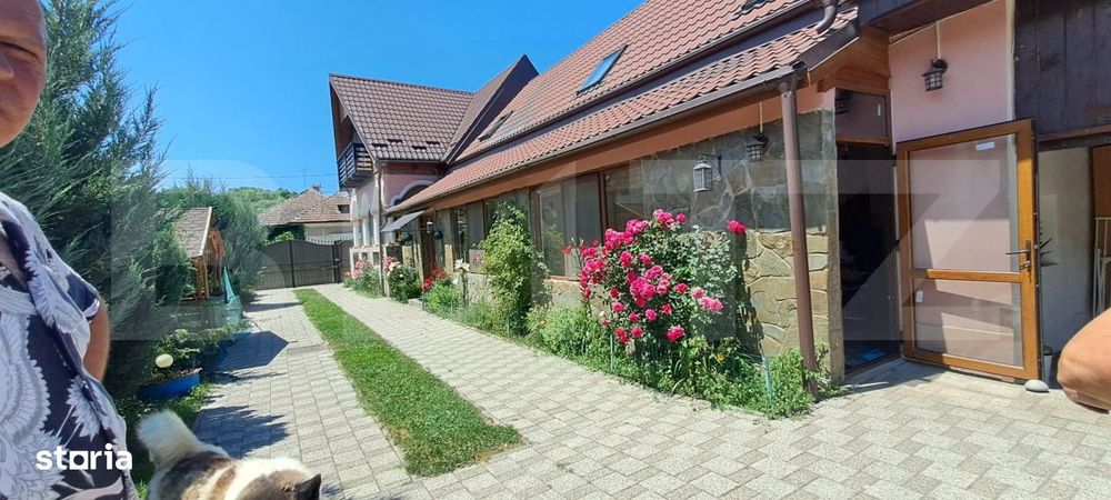 Conac modern cu sauna, ciubar si sera, 1.500 mp gradina – sat Dridif