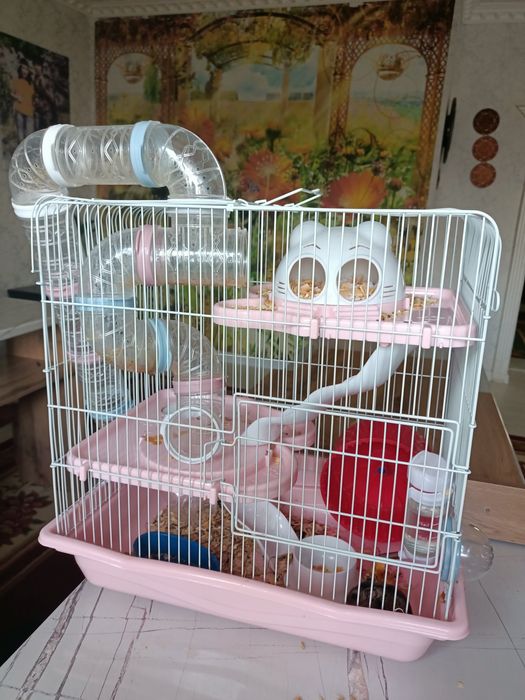 Продается хомячок с домиком