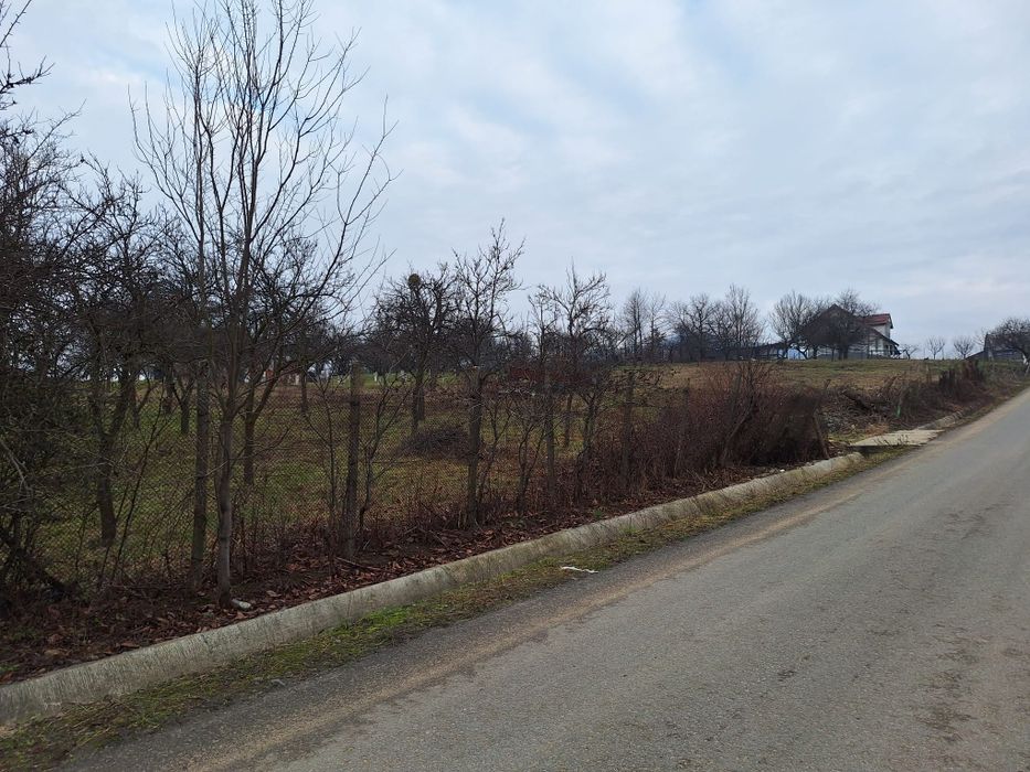 Vând Teren Intravilan 775 mp – Cicârlău, Central (Lângă Primărie)