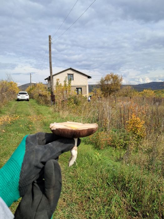Продаётся дача в Заливе Иртыша