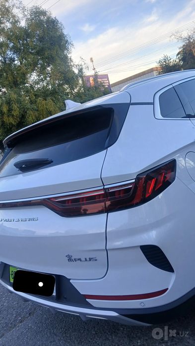 Byd song plus 2023 sotladi srocna