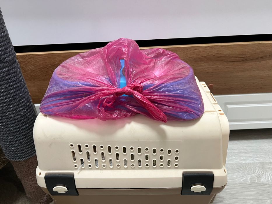 Продам комплект для кошки