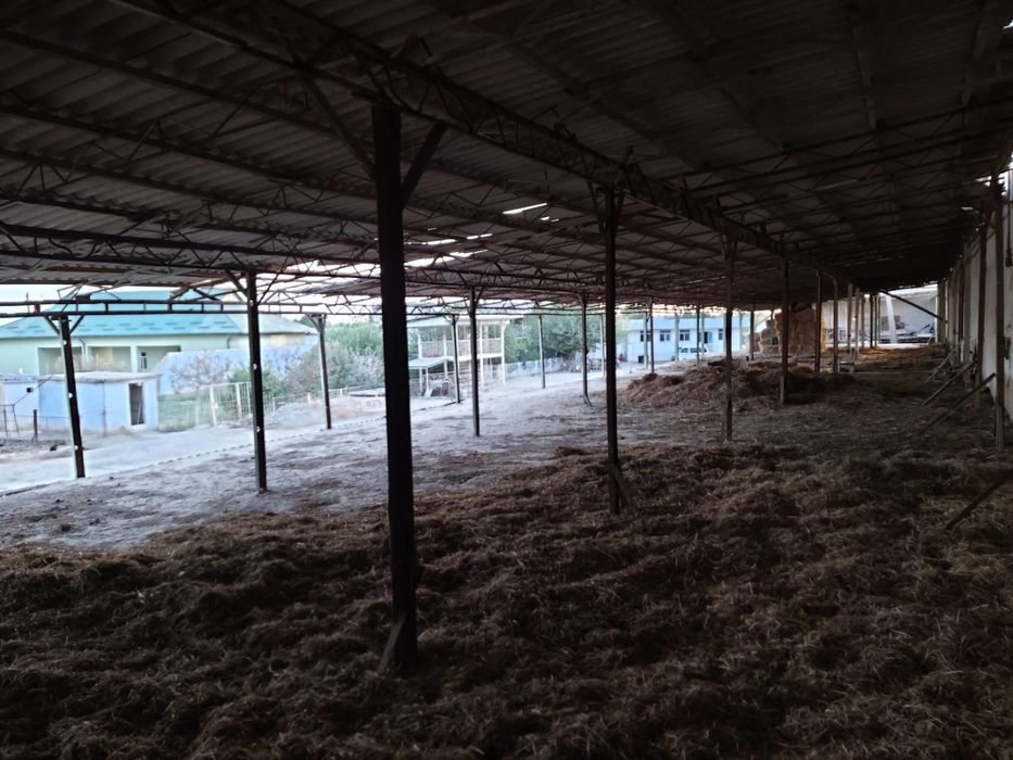 Uy sotiladi. Maydoni katta 50 so'tix