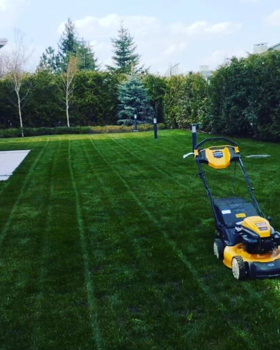 Ландшаф хизматлари