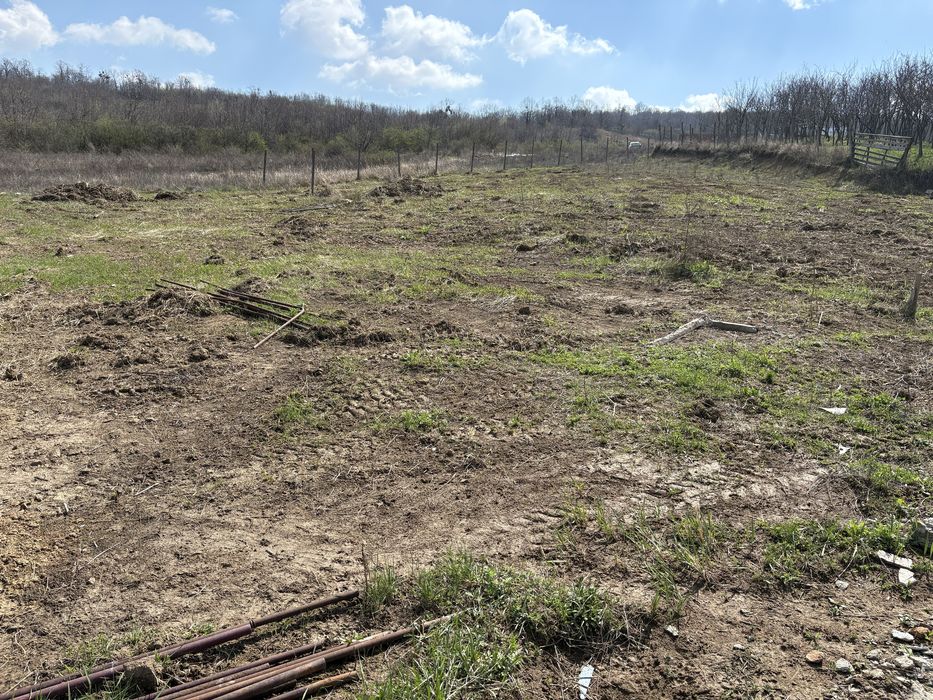 Vand teren Vladiceni Intravilan