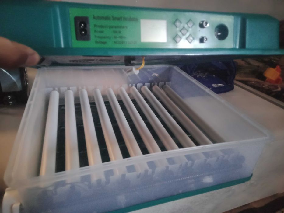 Inkubator 64 talik