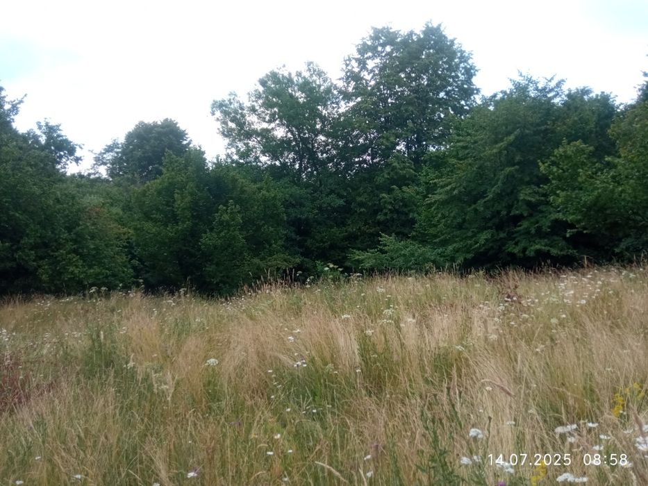 Vând teren extravilan