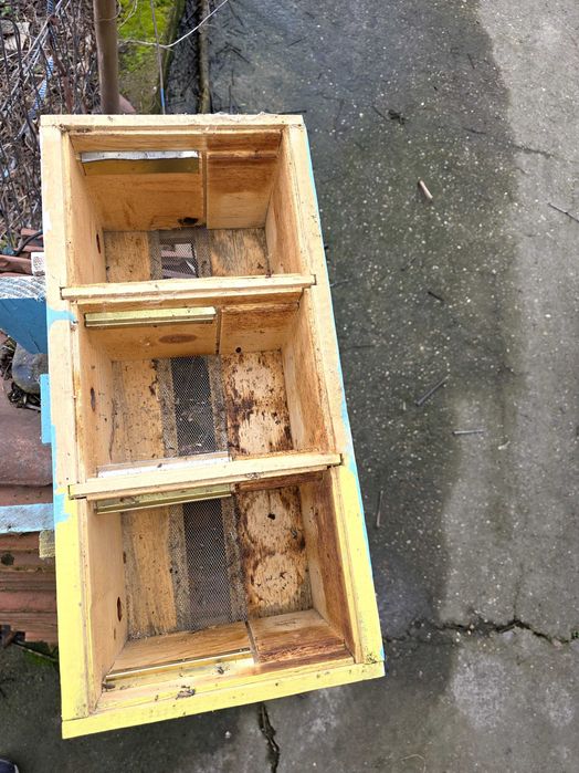 Пчелни рамки обтелени и оплодни сандъчета