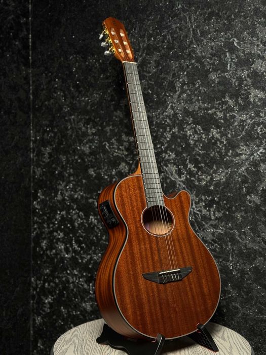 (MUSIC BRAND) Tagima Gitara