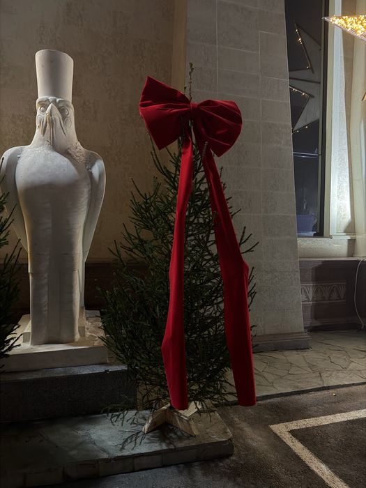 Живые Елки с бантом продается